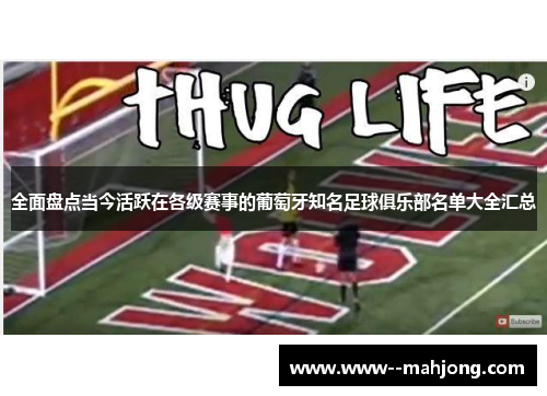 全面盘点当今活跃在各级赛事的葡萄牙知名足球俱乐部名单大全汇总