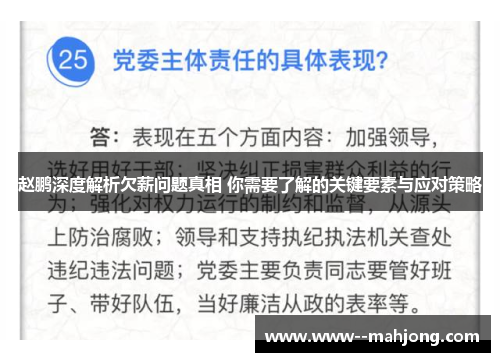 赵鹏深度解析欠薪问题真相 你需要了解的关键要素与应对策略